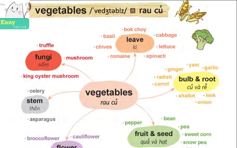 Mind map english vocabulary chủ đề vegetables